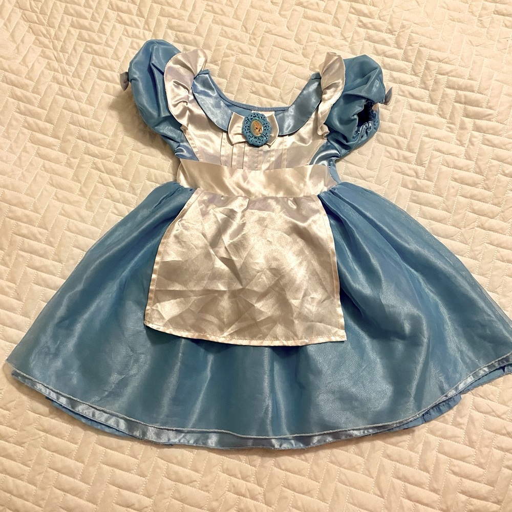 Disney Alice in Wonderland Toddler Dress-up